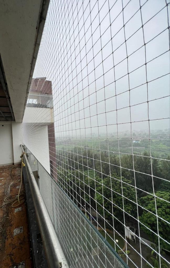 Bird Net